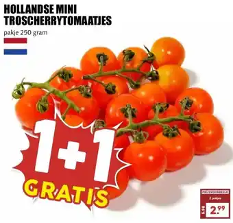 MCD Supermarkt HOLLANDSE MINI TROSCHERRYTOMAATJES aanbieding