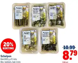 Makro Schelpen aanbieding