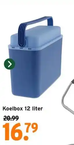 GAMMA Koelbox 12 liter aanbieding