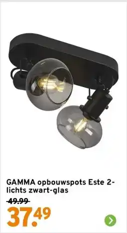 GAMMA GAMMA opbouwspots Este 2-lichts zwart-glas aanbieding