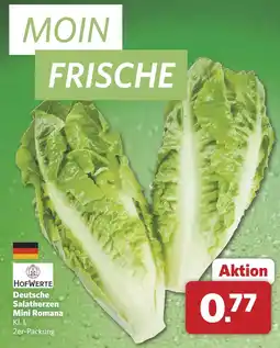Combi HOFWERTE Deutsche Salatherzen Mini Romana aanbieding