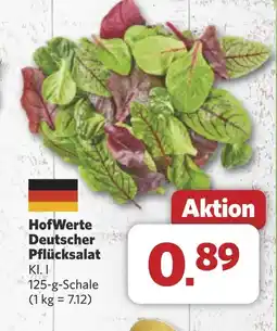 Combi HofWerte Deutscher Pflücksalat aanbieding