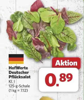 Combi HofWerte Deutscher Pflücksalat aanbieding