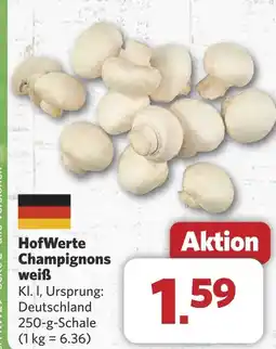 Combi HofWerte Champignons weiß aanbieding