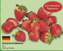 Combi Deutsche Erdbeeren aanbieding