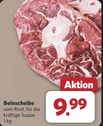 Combi Beinscheibe aanbieding