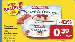 Combi Ehrmann Früchtetraum oder Vanilletraum aanbieding