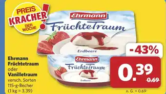 Combi Ehrmann Früchtetraum oder Vanilletraum aanbieding