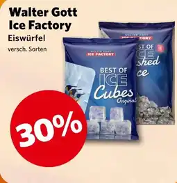Combi Walter Gott Ice Factory aanbieding