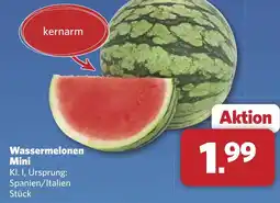 Combi Wassermelonen Mini aanbieding