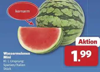 Combi Wassermelonen Mini aanbieding
