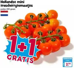 Boon`s Markt Hollandse mini troscherrytomaatjes aanbieding