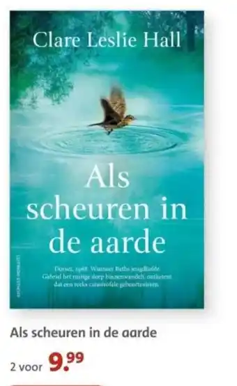 Bruna Als scheuren in de aarde aanbieding