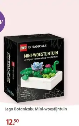 Bruna Lego Botanicals: Mini-woestijntuin aanbieding