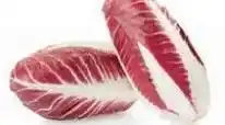 Ekoplaza RADICCHIO v aanbieding