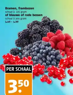 Poiesz Bramen, frambozen of blauwe of rode bessen aanbieding