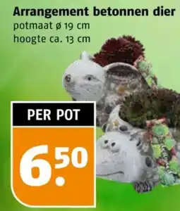 Poiesz Arrangement betonnen dier aanbieding