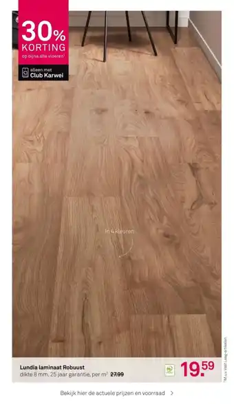 Karwei Lundia laminaat Robuust aanbieding