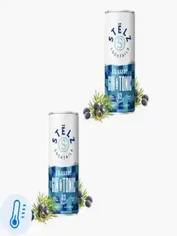 Flink Stëlz Mixed Classics Gin & Tonic 4,5% 25cl 2x aanbieding