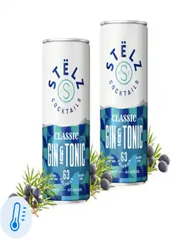 Flink Stëlz Mixed Classics Gin & Tonic 4,5% 25cl 2x aanbieding