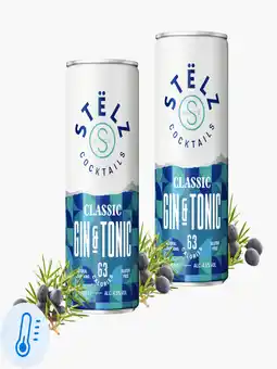 Flink Stëlz Mixed Classics Gin & Tonic 4,5% 25cl 2x aanbieding
