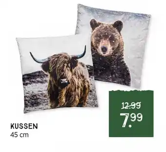 Xenos Kussen 45 cm aanbieding