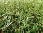 Bol.com Kunstgras - grasmat - grastapijt - kunstgras voor buiten - 4 x 1 mtr - 15 mm + 10 gronddoekpennen aanbieding