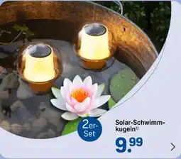 Rossmann DE Solar Schwimm kugeln aanbieding