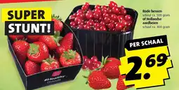 Boni Rode bessen schaal ca. 500 gram of Hollandse aardbeien aanbieding