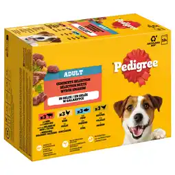 Zooplus Pedigree Maaltijdzakjes Multipack - Gemengde selectie in gelei (4 soorten) 12 x 100 g aanbieding