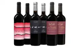 Wijnvoordeel Spaans Barbecue Wijnpakket aanbieding