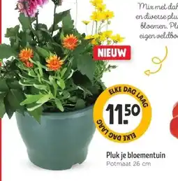 Jumbo Pluk je bloementuin aanbieding