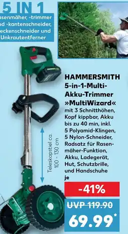 Kaufland DE Hammersmith 5-in-1-Multi Trimmer Multi Wizard aanbieding