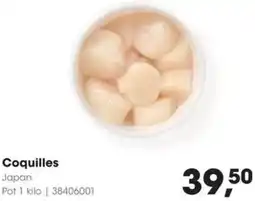 HANOS Coquilles aanbieding