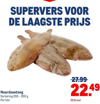 Makro Noordzeetong aanbieding