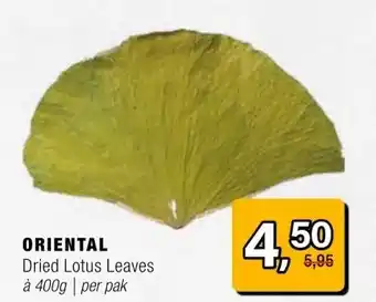 Amazing Oriëntal ORIENTAL aanbieding