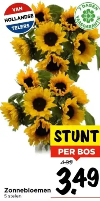 Vomar Voordeelmarkt Zonnebloemen aanbieding