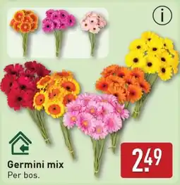 ALDI Germini mix aanbieding
