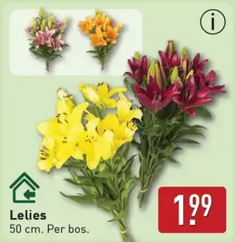 ALDI Lelies aanbieding