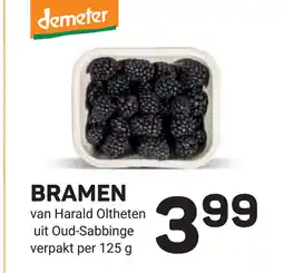 Ekoplaza Bramen aanbieding