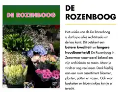 Bouwhof DE ROZENBOOG aanbieding