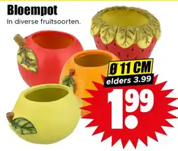 Dirk Bloempot aanbieding