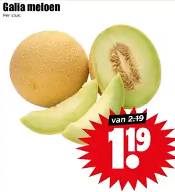 Dirk Galia Meloen aanbieding