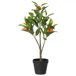 Pets Place Everlands Sinaasappelboompje - Tuinaccessoire - 60 cm Groen aanbieding