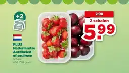 PLUS PLUS Nederlandse Aardbeien of pruimen aanbieding