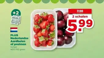 PLUS PLUS Nederlandse Aardbeien of pruimen aanbieding