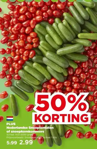 PLUS PLUS Nederlandse Snoeptomaten of snoepkomkommers aanbieding