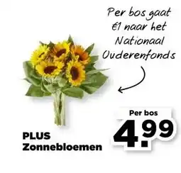 PLUS PLUS Zonnebloemen aanbieding