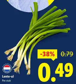 Lidl Lente-ui aanbieding