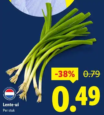 Lidl Lente-ui aanbieding